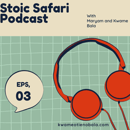 Cover art for Decluttering: A Cultural Battleground of Minimalismpisode